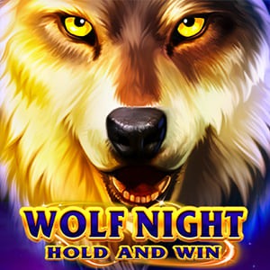imgi_282_wolf_night