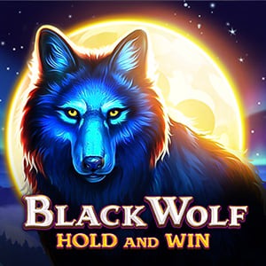 imgi_307_black_wolf